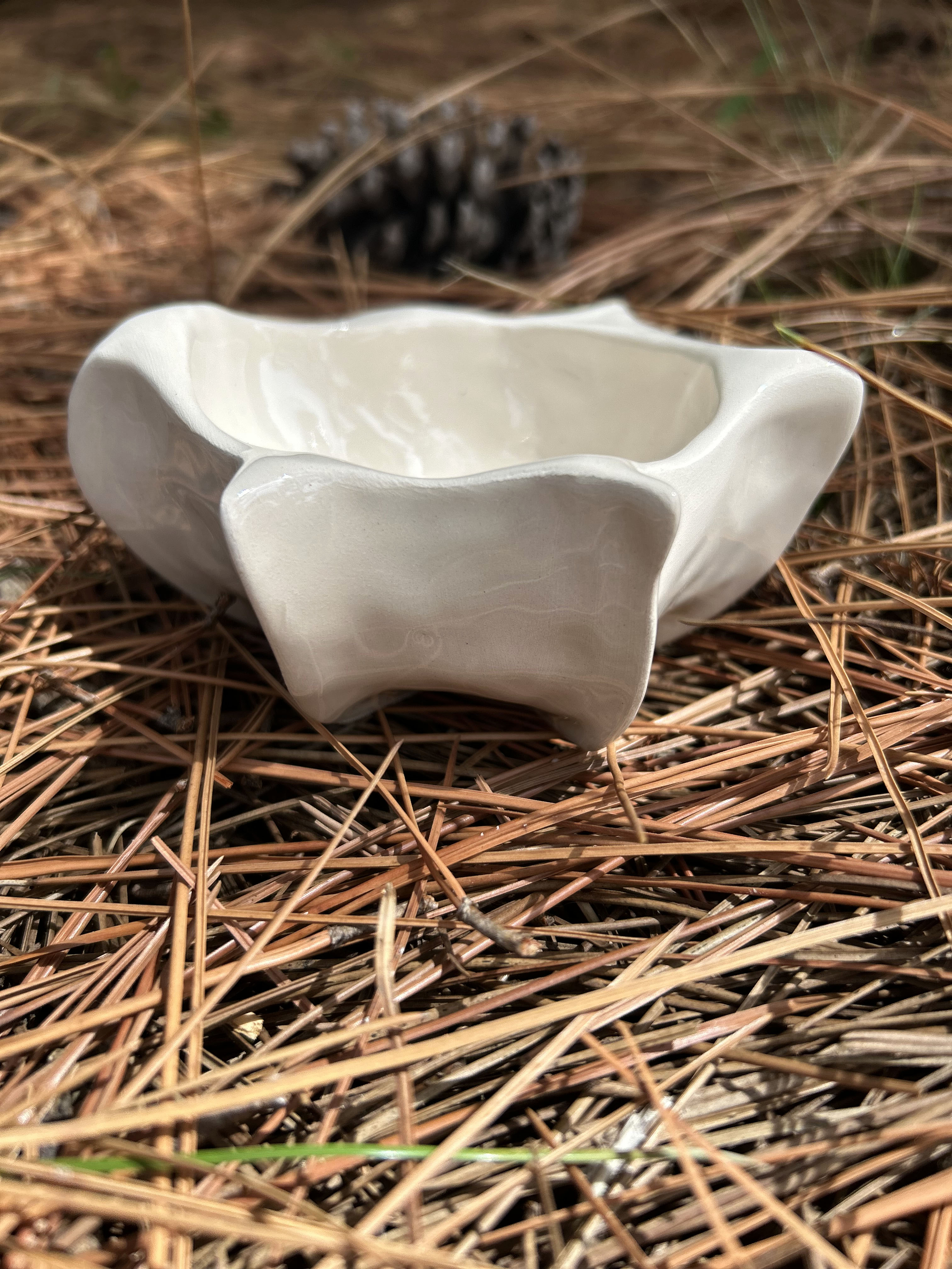 Mini Bone Bowl single